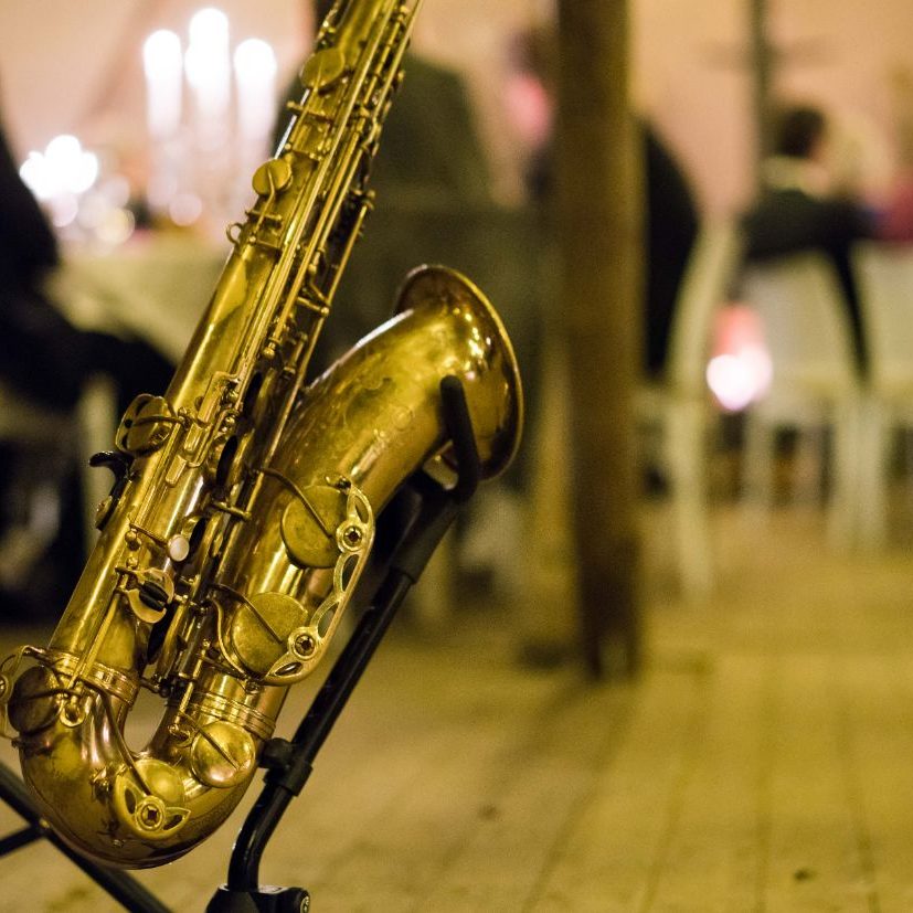 eVeluwseSigarendinerHansvanWervenCigars