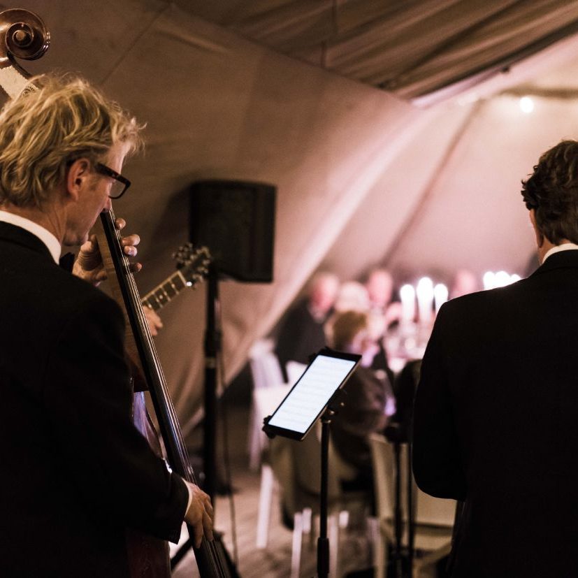 eVeluwseSigarendiner