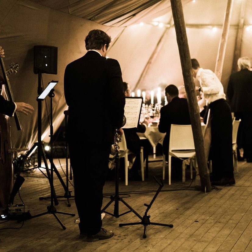 eVeluwseSigarendiner