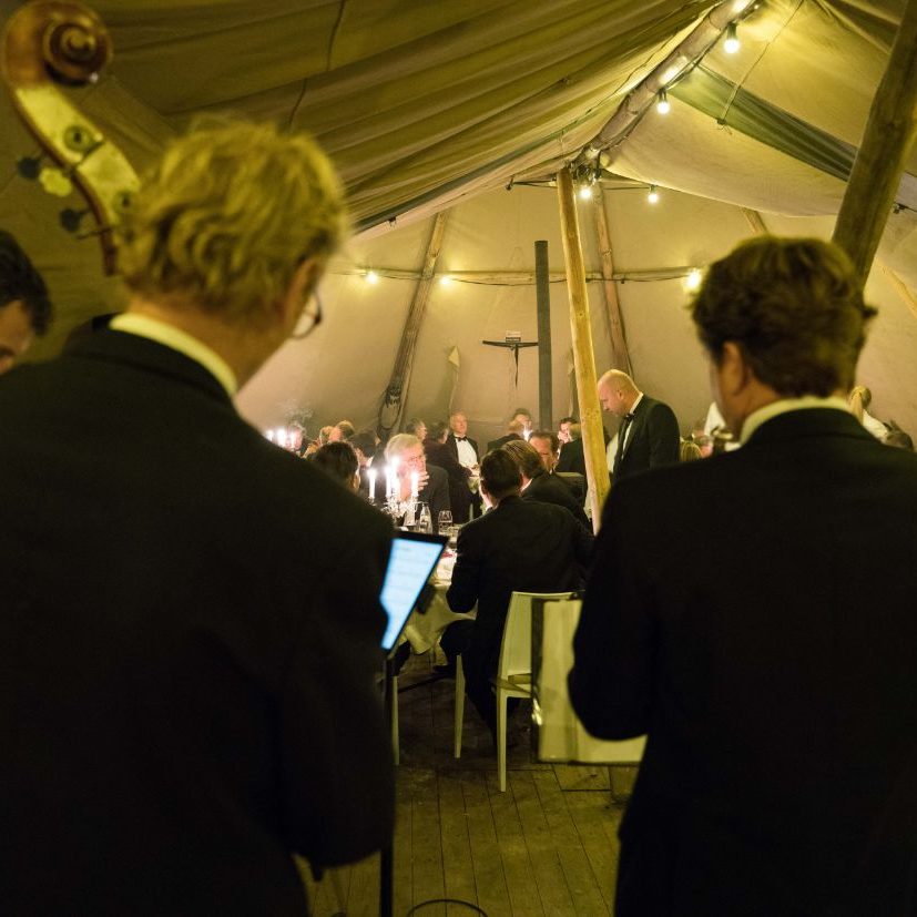 eVeluwseSigarendiner