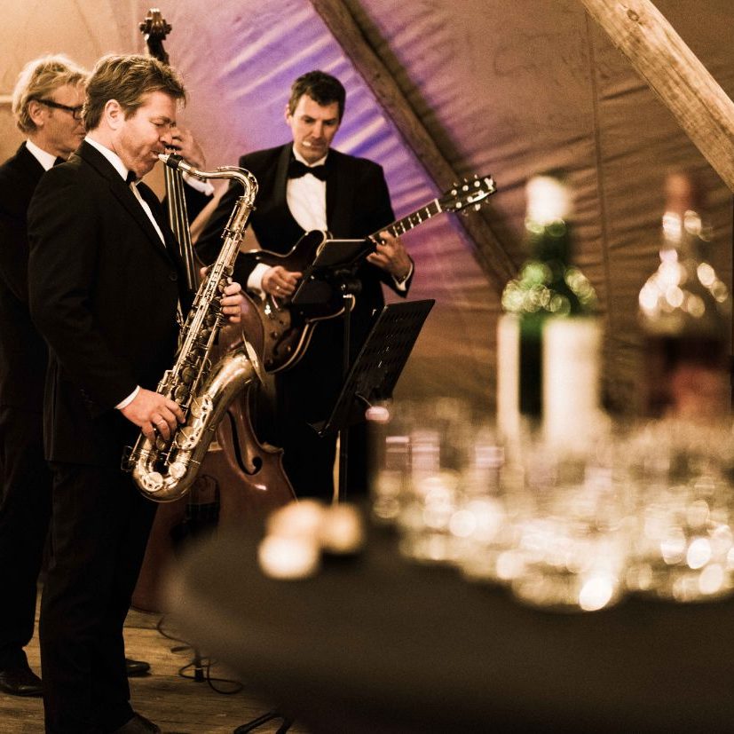 eVeluwseSigarendiner